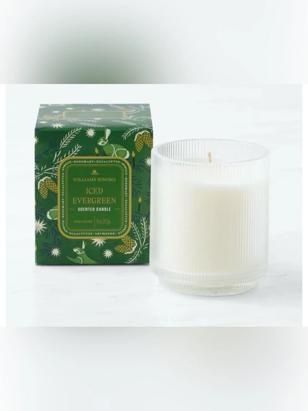 Williams Sonoma ICED EVERGREEN Scented Candle ~ 11 oz.